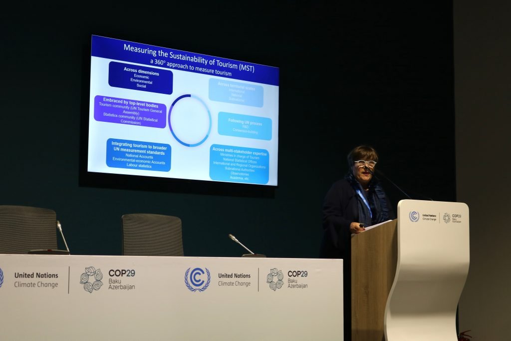 cop29, panel, regional